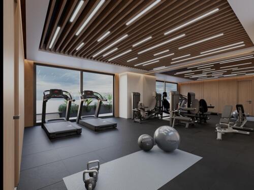 10_Gimnasio LED